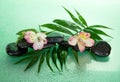 Wet stones and alstroemeria flower on howea leaf