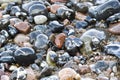 Wet stones at the beach Royalty Free Stock Photo