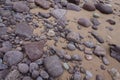Wet stones lying on the sand of a beach Royalty Free Stock Photo