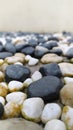 Wet stones after rain Royalty Free Stock Photo