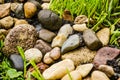 Wet stones after rain in green grass Royalty Free Stock Photo