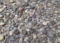 Wet stones after rain Royalty Free Stock Photo