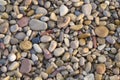 Wet stones and rocks on the shore of the beach