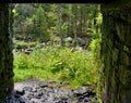 Wet stony tunnel with dripping stream of water - forest and green dense vegetation out of the tunnel