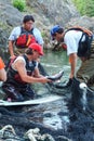 Wet`suwet`en Fisheries - Tagging Fish