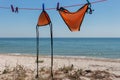 Wet swimsuit on the rope with pins on the beach. Orange swimsuit dried on clothesline on seascape background. Summer fashion. Royalty Free Stock Photo