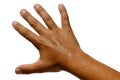 Wet tanned hand of ten years old boy with stretched fingers on white background