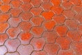 Wet Terracotta Floor TIles Royalty Free Stock Photo