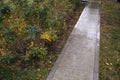 wet tiled pathway Royalty Free Stock Photo