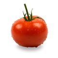Wet tomato Royalty Free Stock Photo