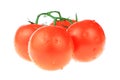 Wet Tomatoes Royalty Free Stock Photo