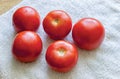 Wet Tomatoes Royalty Free Stock Photo