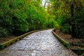 Wet Trail in Autumn Royalty Free Stock Photo