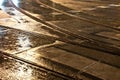 Wet trolley railes in the light and streets Royalty Free Stock Photo