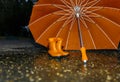 Wet umbrella and children`s rubber boots on wet asphalt Royalty Free Stock Photo