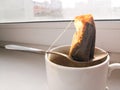 Wet used disposable tea bag on a metal spoon lying on a white dirty ceramic cup in the backlight from the window Royalty Free Stock Photo