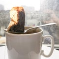 Wet used disposable tea bag on a metal spoon lying on a white dirty ceramic cup in the backlight from the window Royalty Free Stock Photo