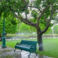 Wet chair with sprinkle water in the park Royalty Free Stock Photo