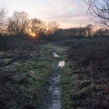 wet waterlogged country muddy path trail walkway sunset silhouette trees