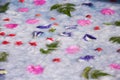 Wet white sa peper texture or mulberry paper before drying in the sun with green fern leaves patterns and flower petal Royalty Free Stock Photo