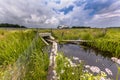 Wet Wildlife crossing culvert underpass with gangplank