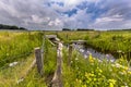 Wet Wildlife river crossing culvert underpass with gangplank