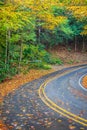 Wet winding autumn road covered with colorful leaves