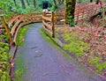 Wet Winter Walkway