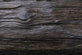 A wet wood line pattern with wood eye that look magical and sacred texture