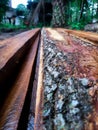 Wet wood structural wood background after rain