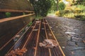Wet wooden park bench with dry yellow oak leaves Royalty Free Stock Photo