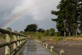 Wet wooden pier on the lake on rainy summer day