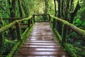 Wet wooden trail birdge walking way at hill mountain evergreen f Royalty Free Stock Photo