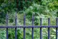Wet Wrought Iron Fence Royalty Free Stock Photo