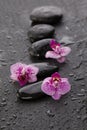 Wet zen stones and flowers on black background Royalty Free Stock Photo