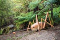 A sculpture of a giant weta in native forest, New Zealand