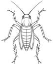 Weta insect illustration for classroom bug learning and coloring Royalty Free Stock Photo