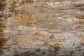 Wethered wood planks texture with scratched paint