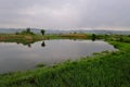 Wetland