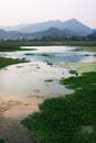 Wetland Royalty Free Stock Photo