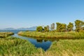 Wetland in Evia