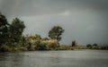 Wetland amazing green nature, beautiful swamp forest, peaceful and romantic river trip Royalty Free Stock Photo