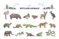Wetland animals collection with wet environment fauna species outline set