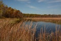 Wetland Area