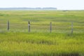 Wetland Conservation in Virginia