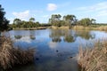 Wetland inside Gateway Sanctuary in Geelong city, Melbourne, Australia (pix SShukla) Royalty Free Stock Photo