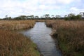 Wetland inside Gateway Sanctuary in Geelong city, Melbourne, Australia (pix SShukla) Royalty Free Stock Photo
