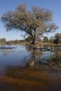 Wetland Habitat - Botswana