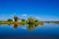 Wetland Royalty Free Stock Photo