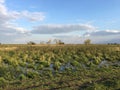 Wetland at HortobÃÂ¡gy National Park